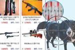 宠物狗被射杀后拖走