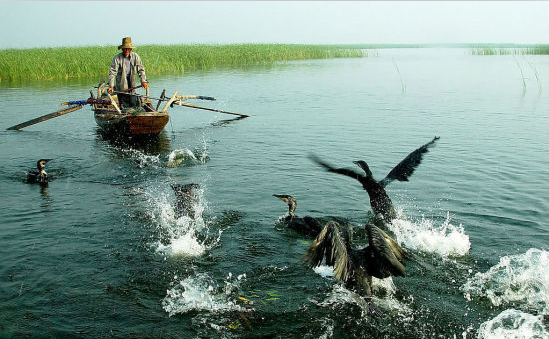 五台山夫子庙白洋淀等9家5A级景区被警告