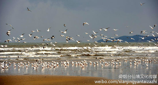 烟台海滩（图：@烟台仙境文化传媒）