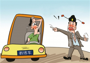 官员学车热或能避免肉食者之弊