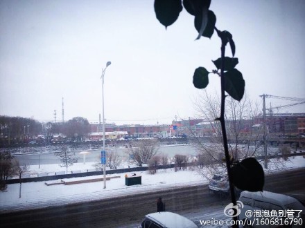 曝张家口承德下雪 气温直上直下网友直呼太任