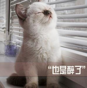 杨幂新剧<em>小说</em>三观不正 <em>坐台女</em>情挑脆弱男