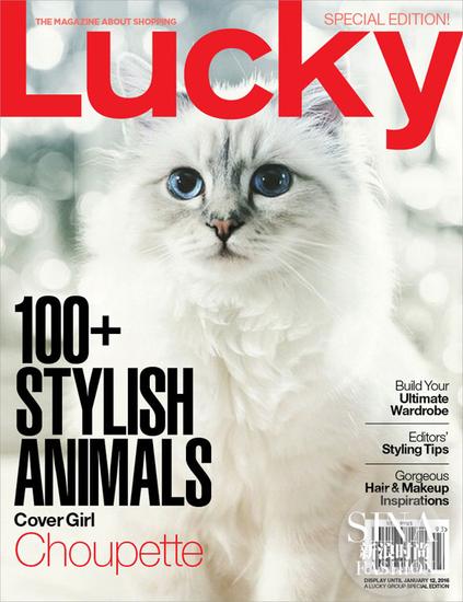 Choupette《Lucky》封面