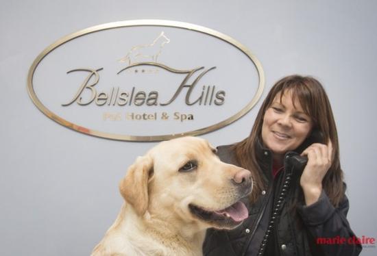 苏格兰：Bellslea Hills Pet Hotel and Spa