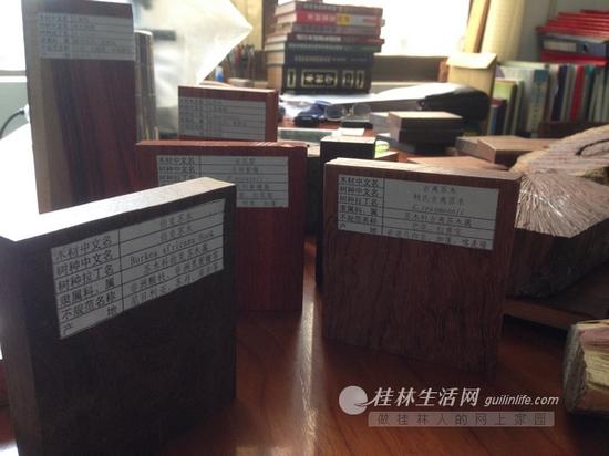 在木材检验机构中,各种红木木材和非红木替代品放在一起,普通人难以分辨