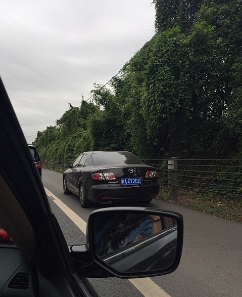 清明节首日 网友曝多车占用高速应急车道