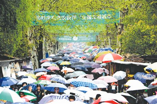 图为：昨日的石门峰公墓，冒雨祭扫市民如织