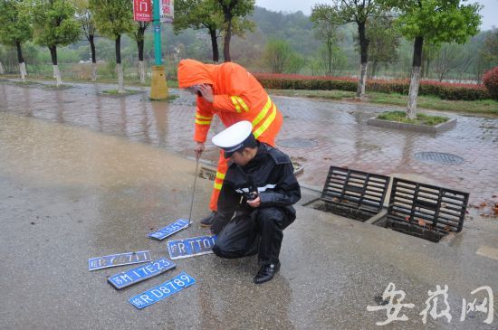 池州下起暴雨 交警积水中摸起多副车牌