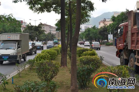 三亚市荔枝沟路,绿化带宽度接近一个车道。南国都市报记者贺立樊摄