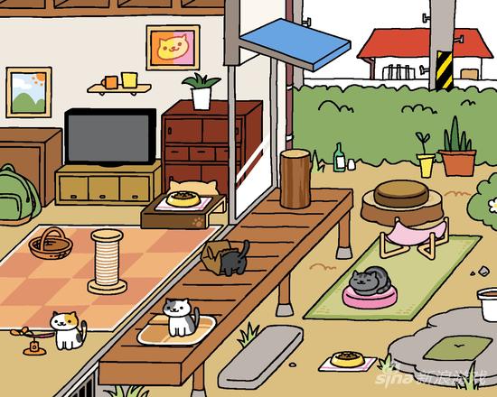 猫咪后院