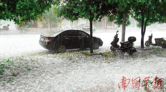 冰雹伴着暴雨一起落下,路上白茫茫一片。 景奉才摄