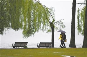 连日来,湖北多地持续降雨。图为4月6日,游客冒着细雨在武汉东湖公园游玩。新华网