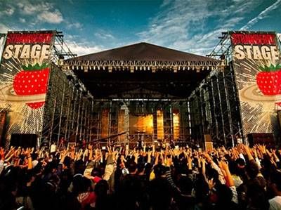 2015上海草莓音乐节回归 摩登天空打造年度超级草莓_新浪湖北_新浪网