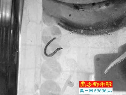 学校食堂里吃出蚯蚓，学生拍照发微博。网友供图