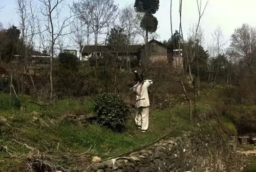 整个冬天甚至春节他都坚守在山上