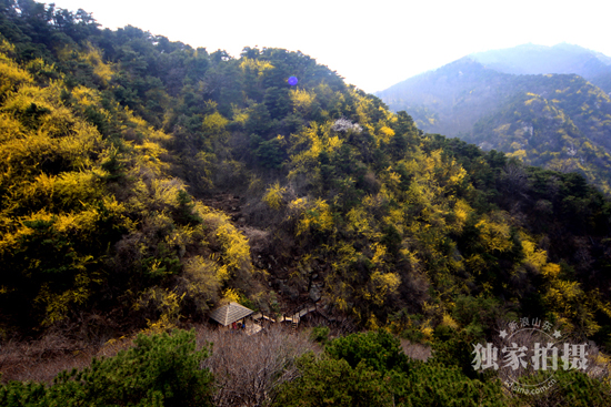 四月九如山风景美不胜收