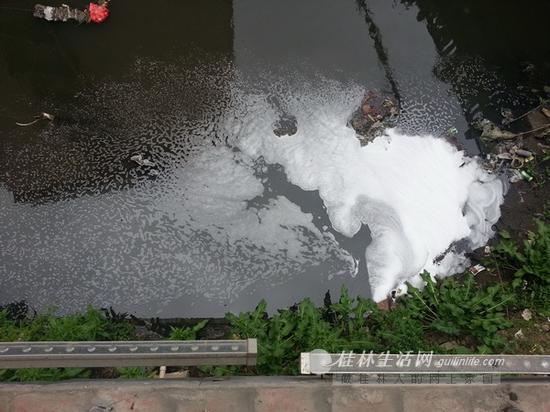 在六合路花园桥一侧驻足,记者观察的10余分钟时间里,有一根直径不足20厘米的管子源源不断地流出白色泡沫,汇入溪中,水面上白色泡沫四散开来。
