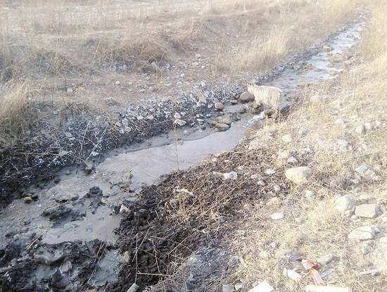 山西煤销集团新村煤矿污水直排河道(图)