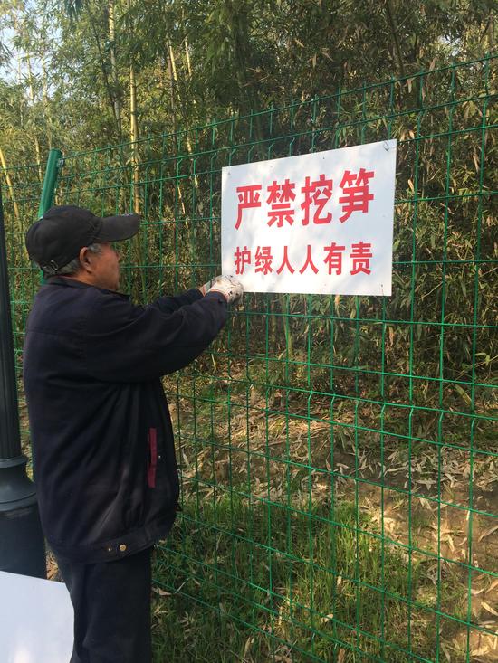 锡山城管局巧心思 自制警示牌护竹林