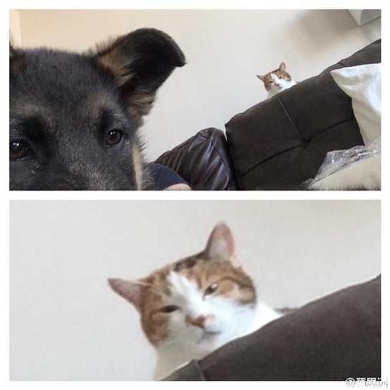 4c4F-chmifpy8276249.png