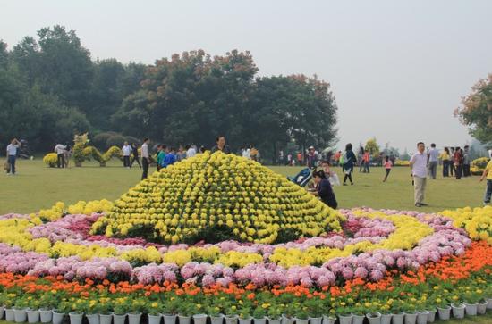 植物园
