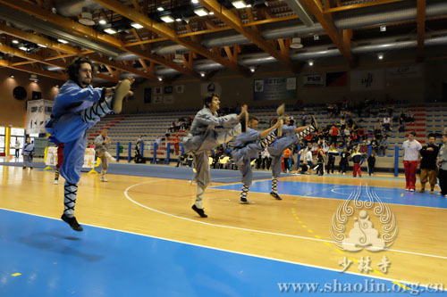 意大利2015年春季少林功夫运动会现场