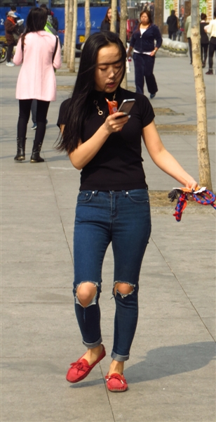 哈尔滨市区天气预报