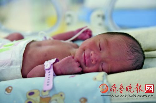 孟岩岩的儿子睡得很香,还在监护室里的他身体健康。齐鲁晚报记者 陈晓丽 摄