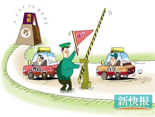 CFP供图