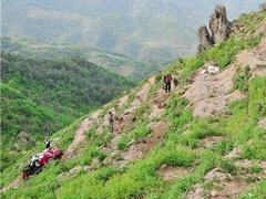 女司机误将油门当刹车致车子翻下山坡