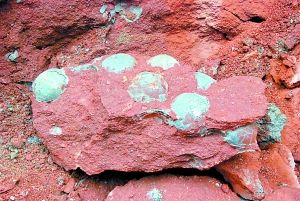 嵌在红砂岩层的成窝恐龙蛋化石。