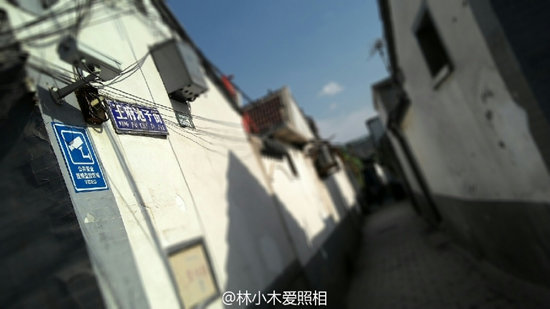 摄影:@林小木爱照相