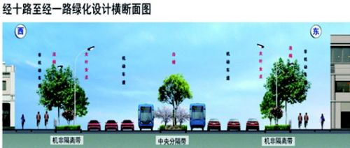 经十路至经一路绿化设计横断面图