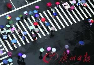 宝岗大道与江南西交界处，市民打伞过马路。广州日报记者高鹤涛 摄