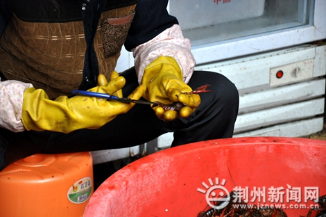 一只虾子要经过8道工序:剪嘴、剪脚、剖背等等。