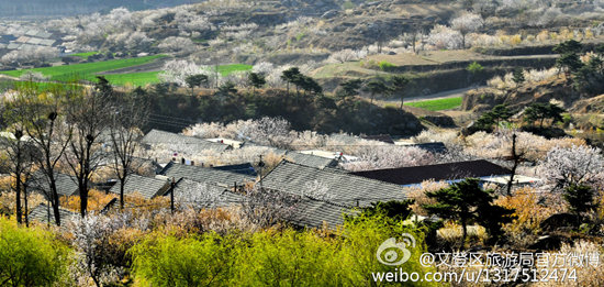 图片来源:@文登区旅游局官方微博