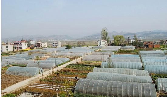 十堰房县打造国内知名休闲养生度假目的地(图