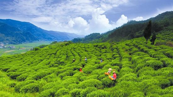 十堰房县打造国内知名休闲养生度假目的地(图