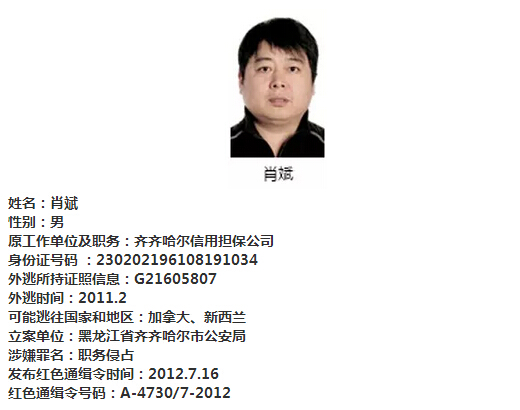 中国红色通缉令全球追逃 涉黑龙江齐齐哈尔一人