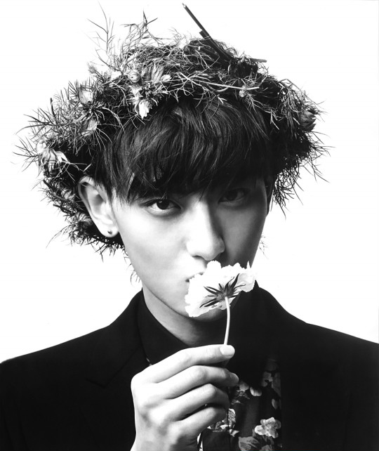 为何黄子韬解约被骂 鹿吴被挺 - 手机新浪网