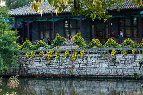 趵突泉美景(图:@捕鱼达人007)