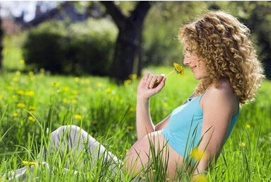 孕妇旅行攻略带球行走准妈妈们的福音