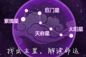 紫微14主星一周运势