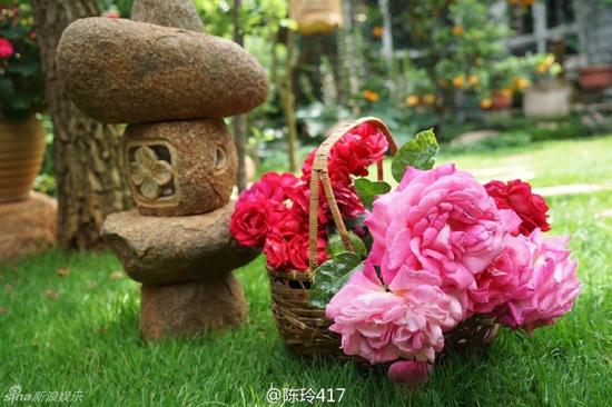 组图:57岁杨丽萍变仙姑 白裙置身花海仙气飘