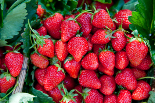 央视记者随机买8份草莓 均检出可致癌农药残留|草莓|农药|检测_新浪时尚_新浪网