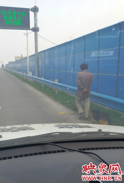 一名男子牽著一條狗在應急車道上“健身”。