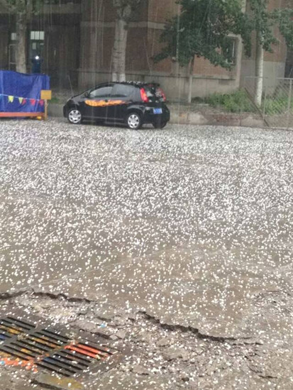 網友表示冰雹砸在車上當當響(網友拍攝)