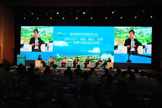 GEP和绿色GDP_观点 解决土地财政问题还需顶层 制度设计