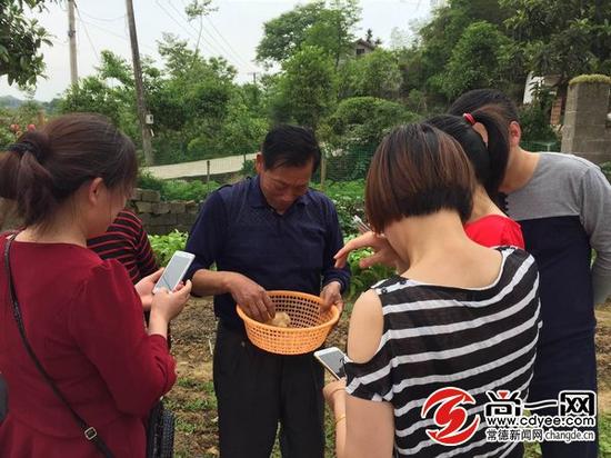 4条腿小鸡 尚一网记者熊佳 摄