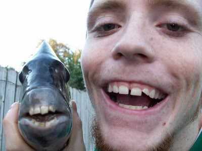 囧哥说事:夭寿了!闪电成精下蛋了!